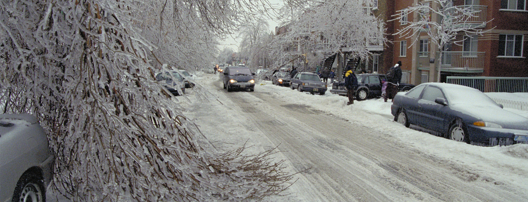 A photograph of a street in Québec during the ice storm. There is frozen rain on all the trees, weighing them down.